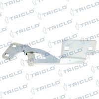 TRICLO 201950 - Bisagra, capó del motor