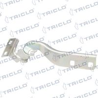 TRICLO 201970 - Bisagra, capó del motor