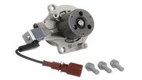 SKF VKMC012781 - Bomba de agua + kit correa distribución