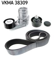 RIDEX 542R0556 - Juego de correas trapeciales poli V