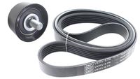 SKF VKMV6PK925 - Correa trapecial poli V