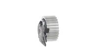 SKF VKM 12174 - Polea tensora, correa dentada