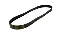 HART 368801 - Correa trapecial poli V