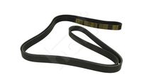 HART 917777 - Correa trapecial poli V