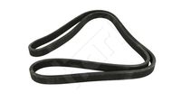 HART 930683 - Correa trapecial poli V