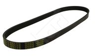 HART 368896 - Correa trapecial poli V