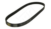 HART 331860 - Correa trapecial poli V