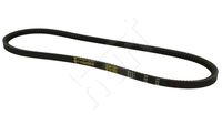 HART 305613 - Correa trapezoidal