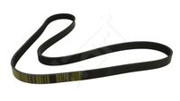 HART 368908 - Correa trapecial poli V