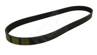 HART 369001 - Correa trapecial poli V