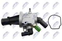 NTY CTMPL003 - Termostato, refrigerante