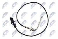 NTY EGTAR007 - Sensor, temp. gas escape