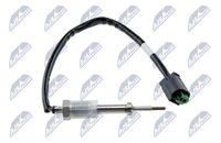 NTY EGTBM002 - Sensor, temp. gas escape