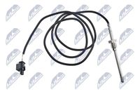 NTY EGTME013 - Sensor, temp. gas escape