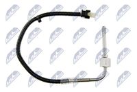 NTY EGTME010 - Sensor, temp. gas escape