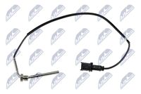 NTY EGTVC001 - Sensor, temp. gas escape