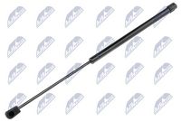 NTY AECH013 - Muelle neumático, maletero/compartimento de carga