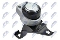 NTY ZPSFR011 - Soporte, motor