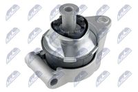 NTY ZPSPL003 - Soporte, motor