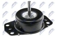 NTY ZPSRE029 - Soporte, motor