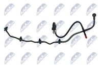 NTY BPP-FR-001 - Tubo flexible, combustible de fuga