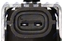 NTY EGR-TY-020 - Válvula EGR