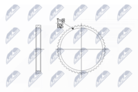 NTY NZAVV002 - Anillo sensor, ABS