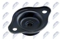 NTY AD-DW-005 - Soporte, parachoques