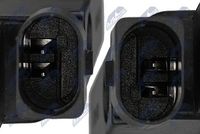 NTY ELP-VW-038 - Piloto de matrícula