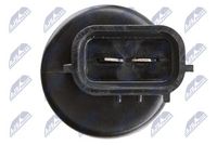 NTY ESP-PL-005 - Bomba de agua de lavado, lavado de faros