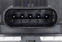 NTY ENOXAU015 - Sensor NOx, catalizador NOx