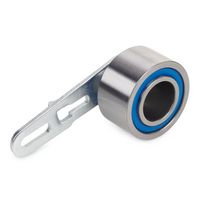 Stark SKTPT-0650134 - Polea tensora, correa dentada