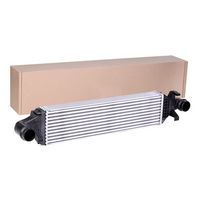 Stark SKICC0890261 - Radiador de aire de admisión