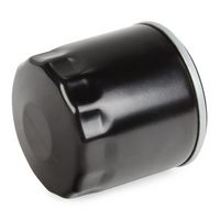 Stark SKOF-0860289 - Filtro de aceite