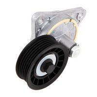 Schaeffler INA 534013020 - Tensor de correa, correa poli V