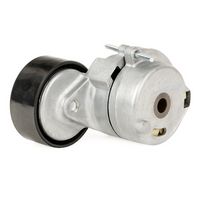 Stark SKVB-0590040 - Tensor de correa, correa poli V