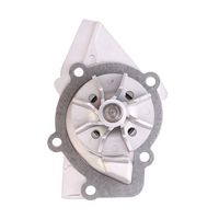 Stark SKWPT-0750044 - Bomba de agua + kit correa distribución