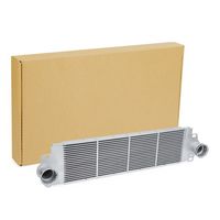 Stark SKICC0890003 - Radiador de aire de admisión