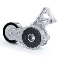 Stark SKTL-0610038 - Brazo tensor, correa poli V