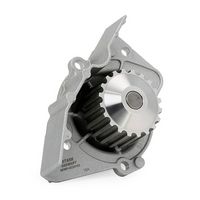 Stark SKWP-0520168 - Bomba de agua, refrigeración del motor