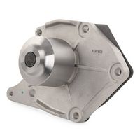 Stark SKWPT-0750141 - Bomba de agua + kit correa distribución