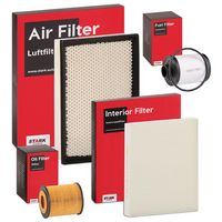 Stark SKFF0870005 - Filtro combustible