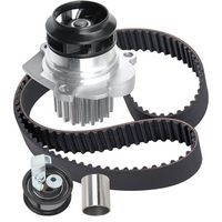 Stark SKWPT0750055 - Bomba de agua + kit correa distribución