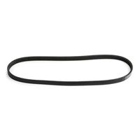 Stark SK-4PK865 - Correa trapecial poli V