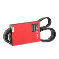 Stark SK6PK1560 - Correa trapecial poli V