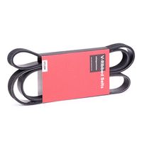 Stark SK6PK1590 - Correa trapecial poli V