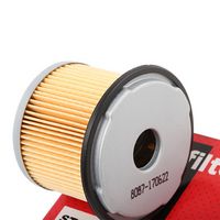 Stark SKFF-0870053 - Filtro combustible