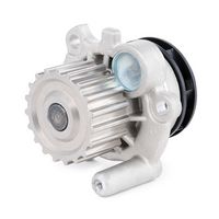 Stark SKWP0520034 - Bomba de agua, refrigeración del motor