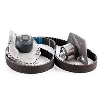 Stark SKWPT0750042 - Bomba de agua + kit correa distribución