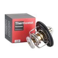 Stark SKTC0560017 - Termostato, refrigerante